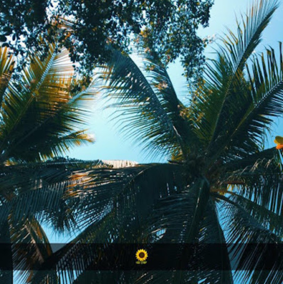 Meet your Posher, Ana fabiola - Picture 1 of 1